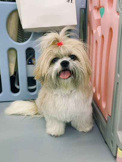Little Paws Pet Wonderland