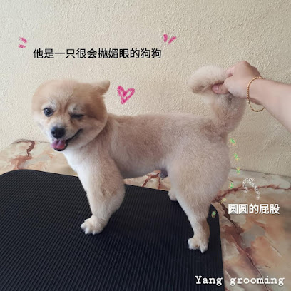 Yang grooming (Homebase pet grooming)