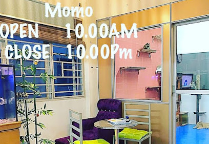 Hotel Kucing Momo Taman Mas
