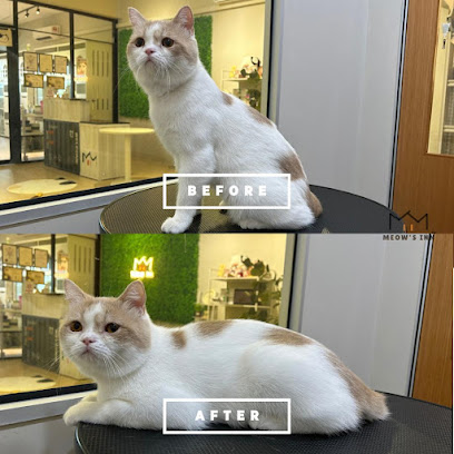 MEOW’S INN Cat Hotel & Grooming