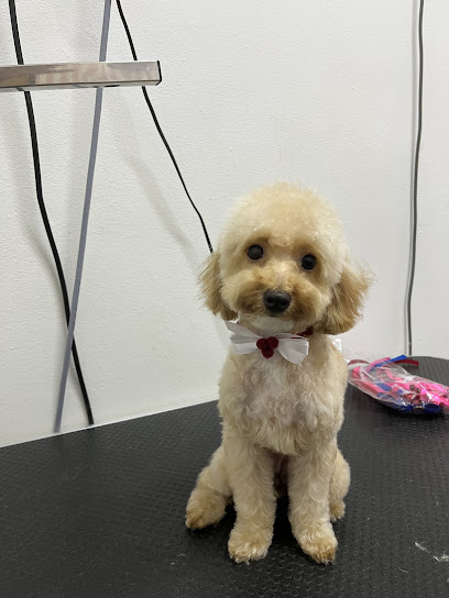 Paws in Love - Kuchai Lama Pet grooming & SPA