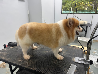 Kutto Pet Grooming & Cafe
