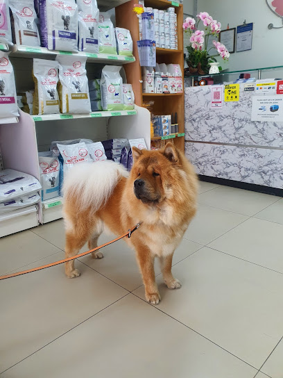 Ohana Veterinary Clinic & Surgery (Taman Equine)