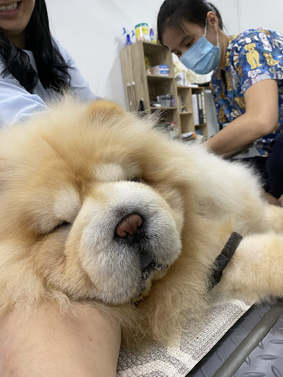 PAWS Rehab