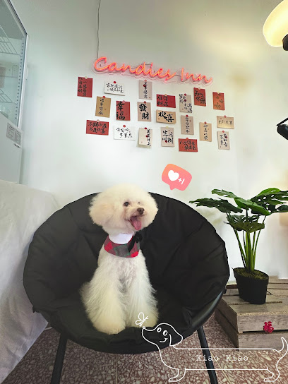 Sweet Paw Maison - PJ Pet Grooming & SPA