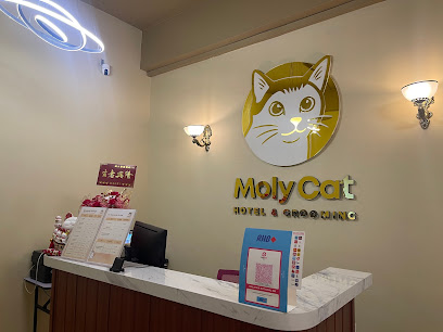 Moly Cat Hotel & Grooming