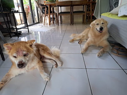 Xiao Q Mobile Pet Grooming