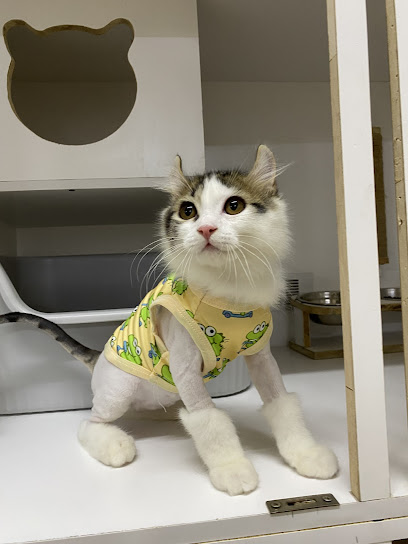 Nawz Kucen Lacottage (Cat Hotel ,Spa &Grooming)