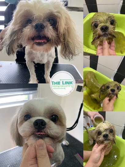 TheLink Pet Home Grooming