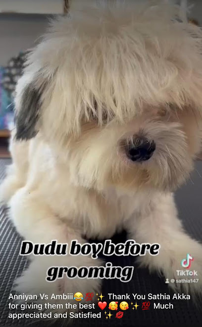 Lucky Paws Pets Care